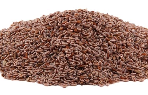 Cumin (Jeera)