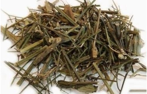 Fenugreek (Methi)