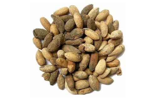 Mustard Seeds