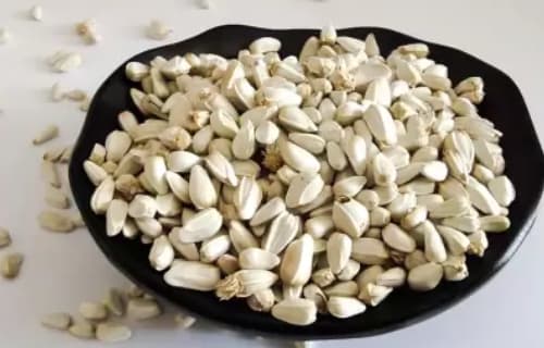 Coriander (Dhania)