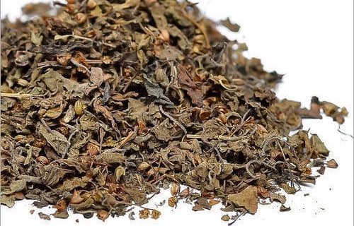 Tulsi Panchang