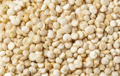 Bold Quinoa