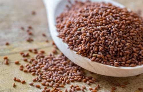 Halim Seeds
