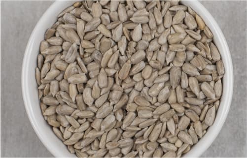 Sunflower Seeds
