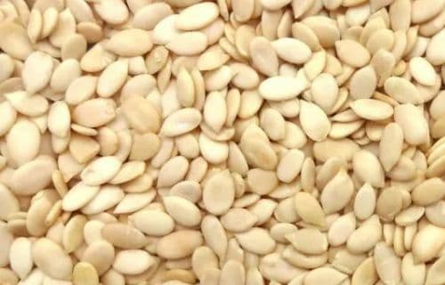 Watermelon Seeds